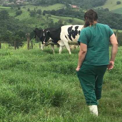 Atedimento a Campo: Bovinos Leiteiros